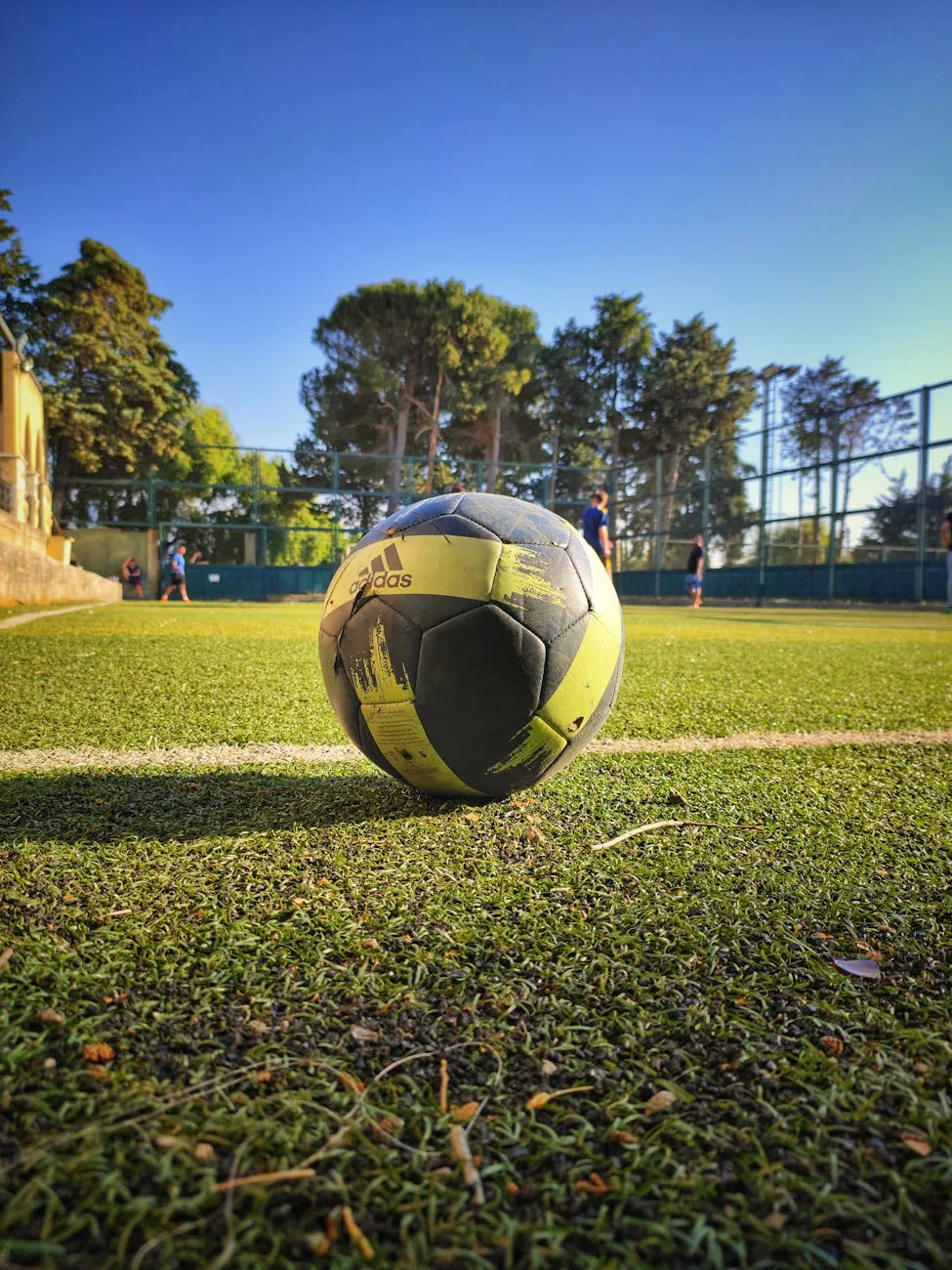 Sunderland AFC Scholar Outfield Team: Essential Player Checklist