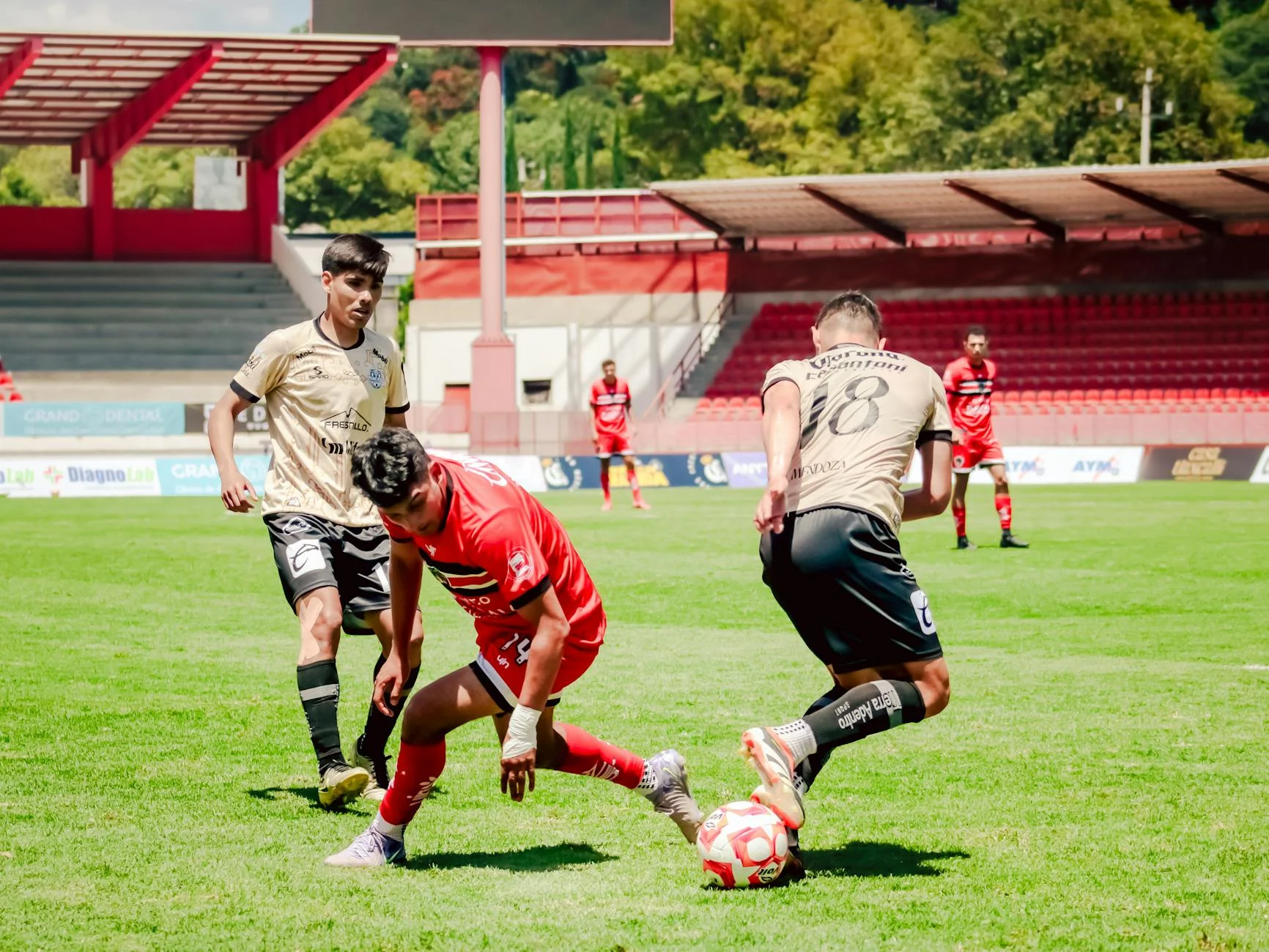 Researching Sunderland AFC History: A Step-by-Step Checklist