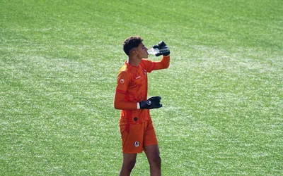 Sunderland Afc Captains Leadership Styles