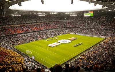 Sunderland Afc Fan Art Traditions 1