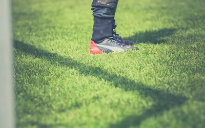 Sunderland Afc Fan Fiction Community