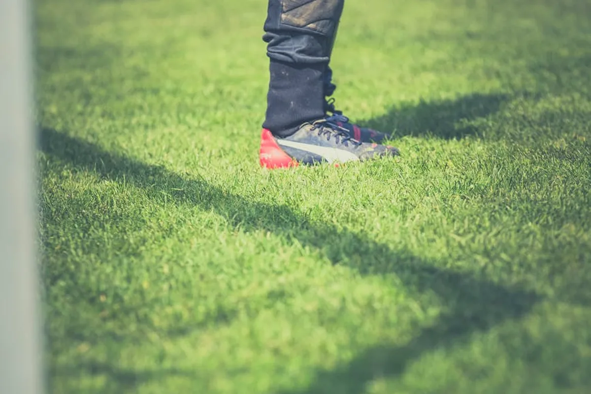 Sunderland Afc Fan Fiction Community