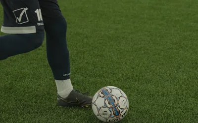 Sunderland Fan Art Creativity