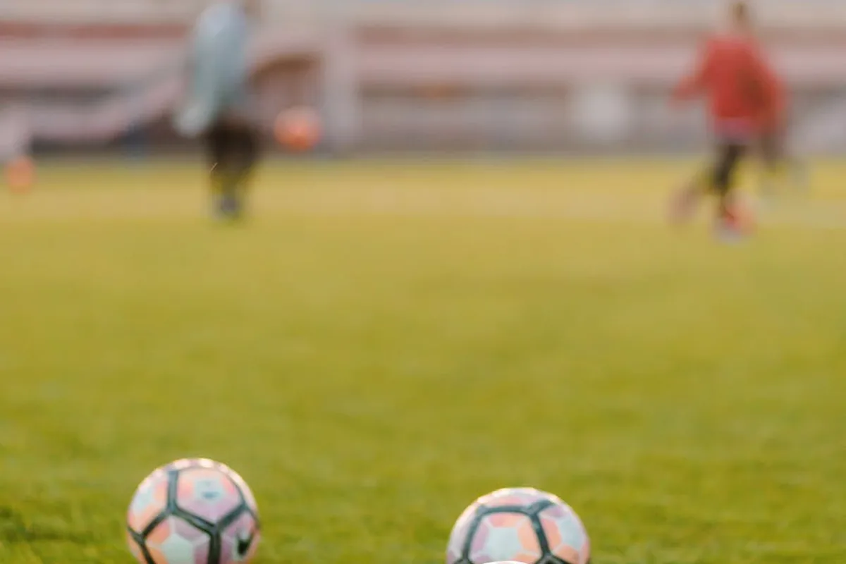 Sunderland Fanzines Culture