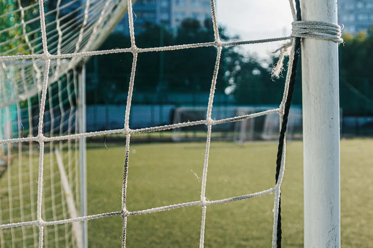 Sunderland Financial Analysis