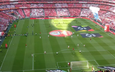 Sunderland Formation Adaptations