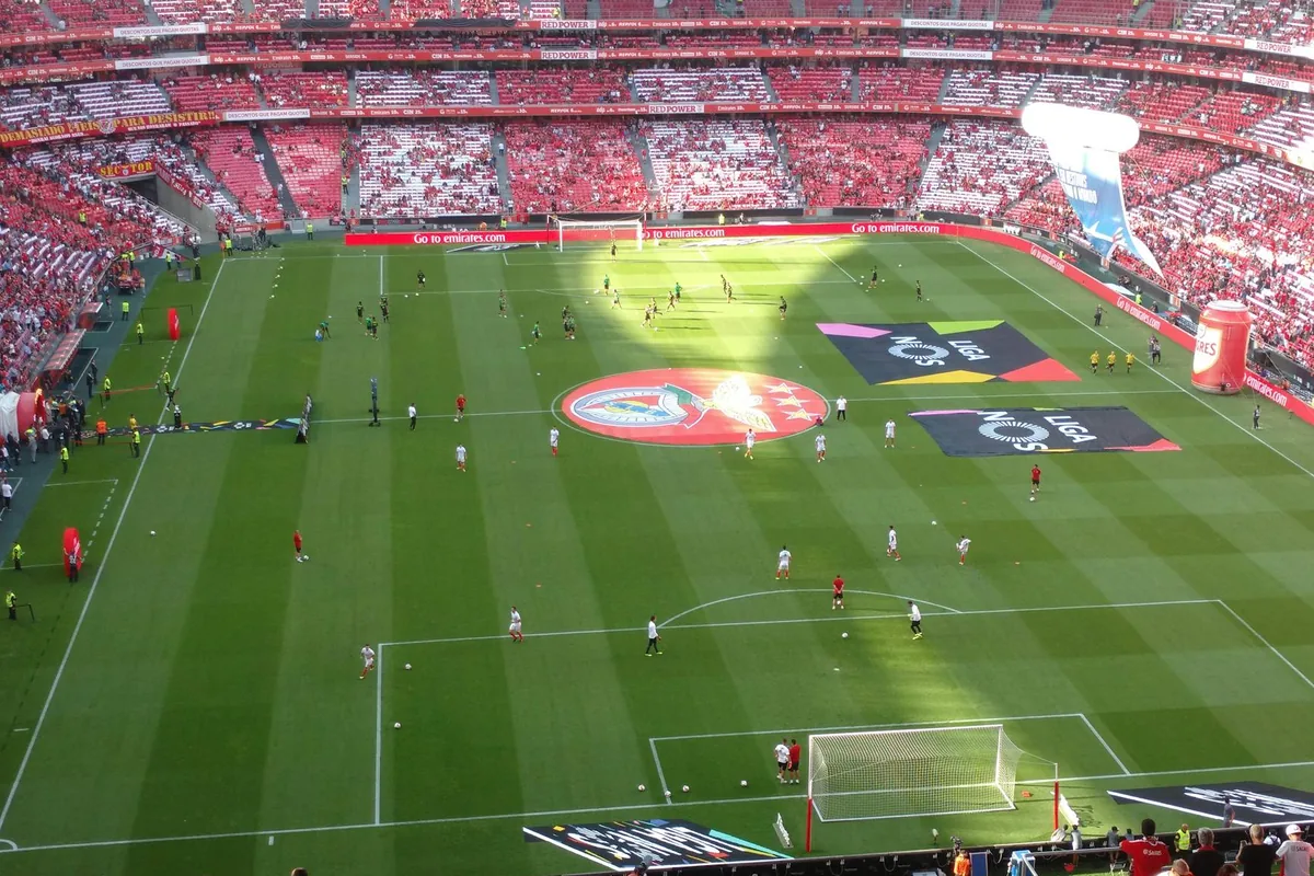 Sunderland Formation Adaptations