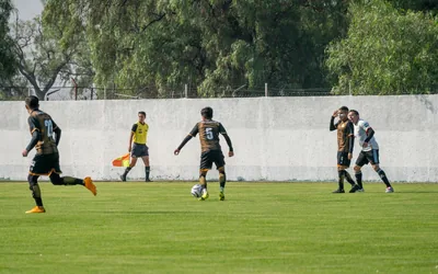 Sunderland Membership Benefits