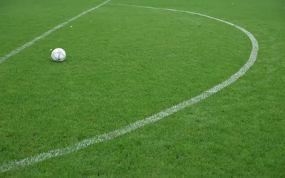 Supporter Groups History