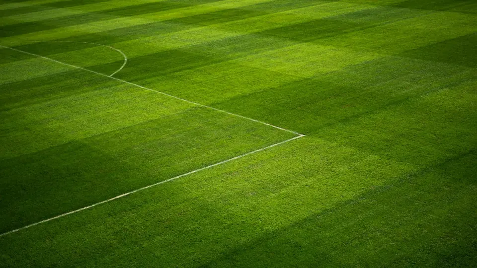 Sunderland AFC Development Team: A Complete Advancement Checklist