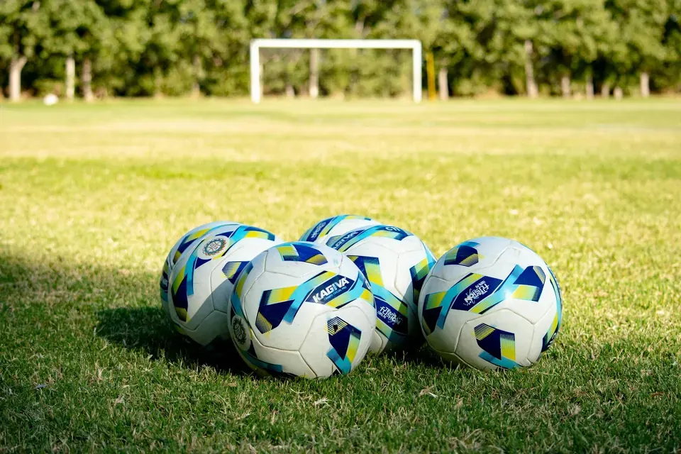 Sunderland AFC Fan Funding and Ownership Initiatives: A Case Study