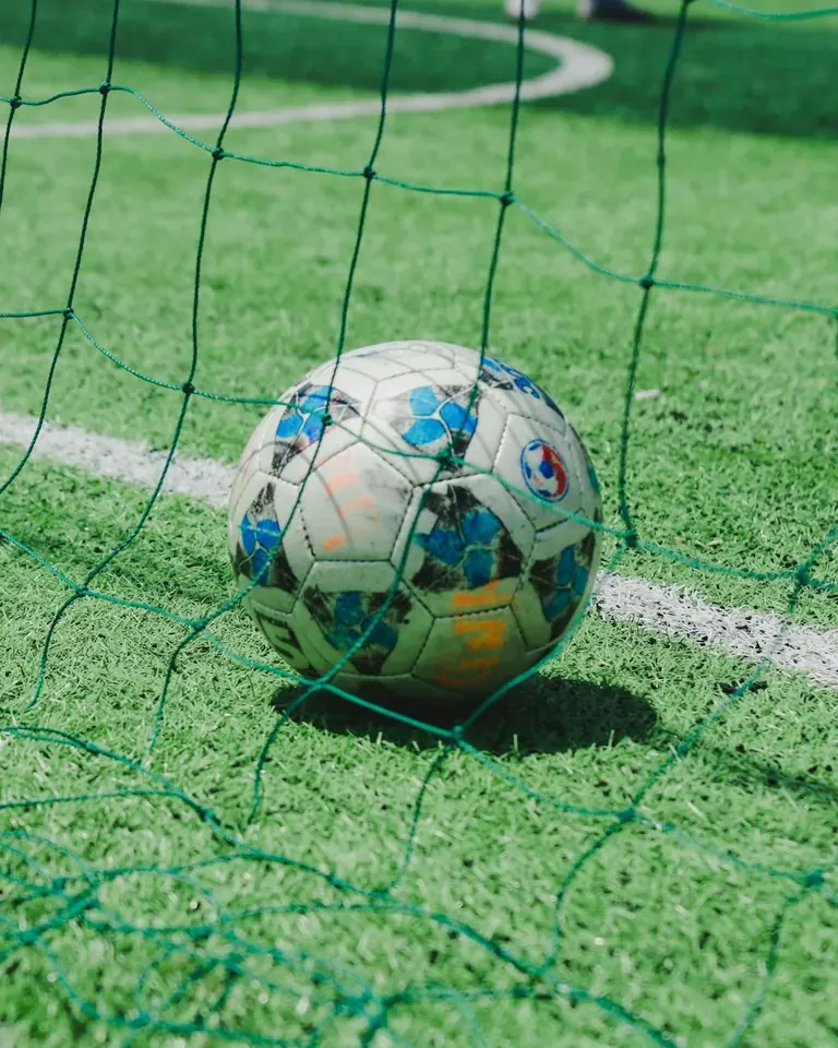 The History of Sunderland AFC's Academy: A Case Study